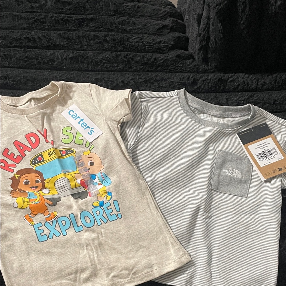 The North Face Gray Striped Pocket Tee